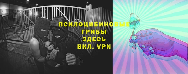 mdma Новодвинск