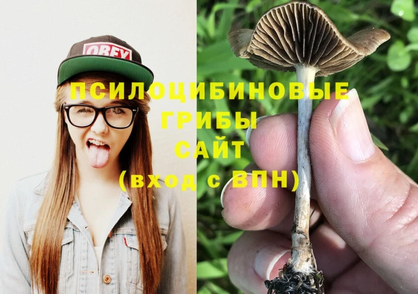 герыч Новокубанск