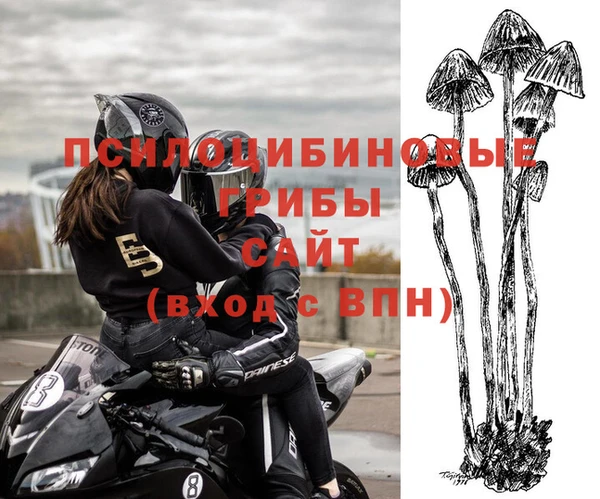 герыч Новокубанск