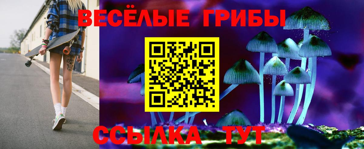 Галлюциногенные грибы Psilocybe  Вход с VPN  Саратов 